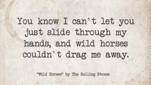 wild_horses