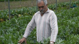 pedro_mari