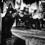 A black cat stares out from the front porch of blues singer Jack Owens as he plays his dark and haunting blues with harmonica accompanist Bud Spires. Owens, whose canon of songs comes from the minor-keyed Bentonia tradition made famous by the delta legend Skip James, sings in his signature song, "It must have been the devil, changed that woman's mind/ I'd rather be the devil than to be that woman's friend." Songs in the Bentonia tradition are suffused with brooding images of the supernatural. Robert Johnson drew from this tradtion in composing his most haunting blues, "Hellhound on my trail."