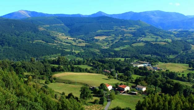 ASTEBURUAN, ZEINGOU? Udagoieneko Ostera