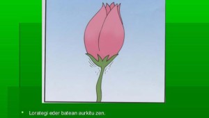 tulipa-txikia-ipuina-12-638