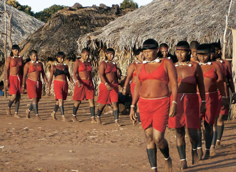 Lur eta Murmur: COVID19a eta Brasilgo herri indigenak