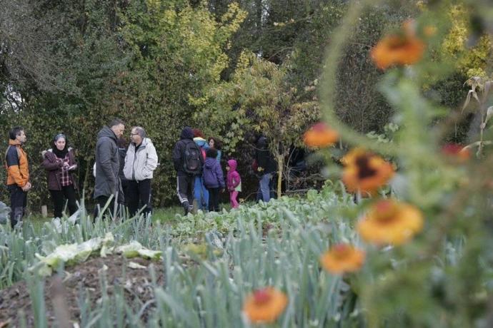 Lur eta Murmur: Landareak,  elkarbizitzarako  aitzakia