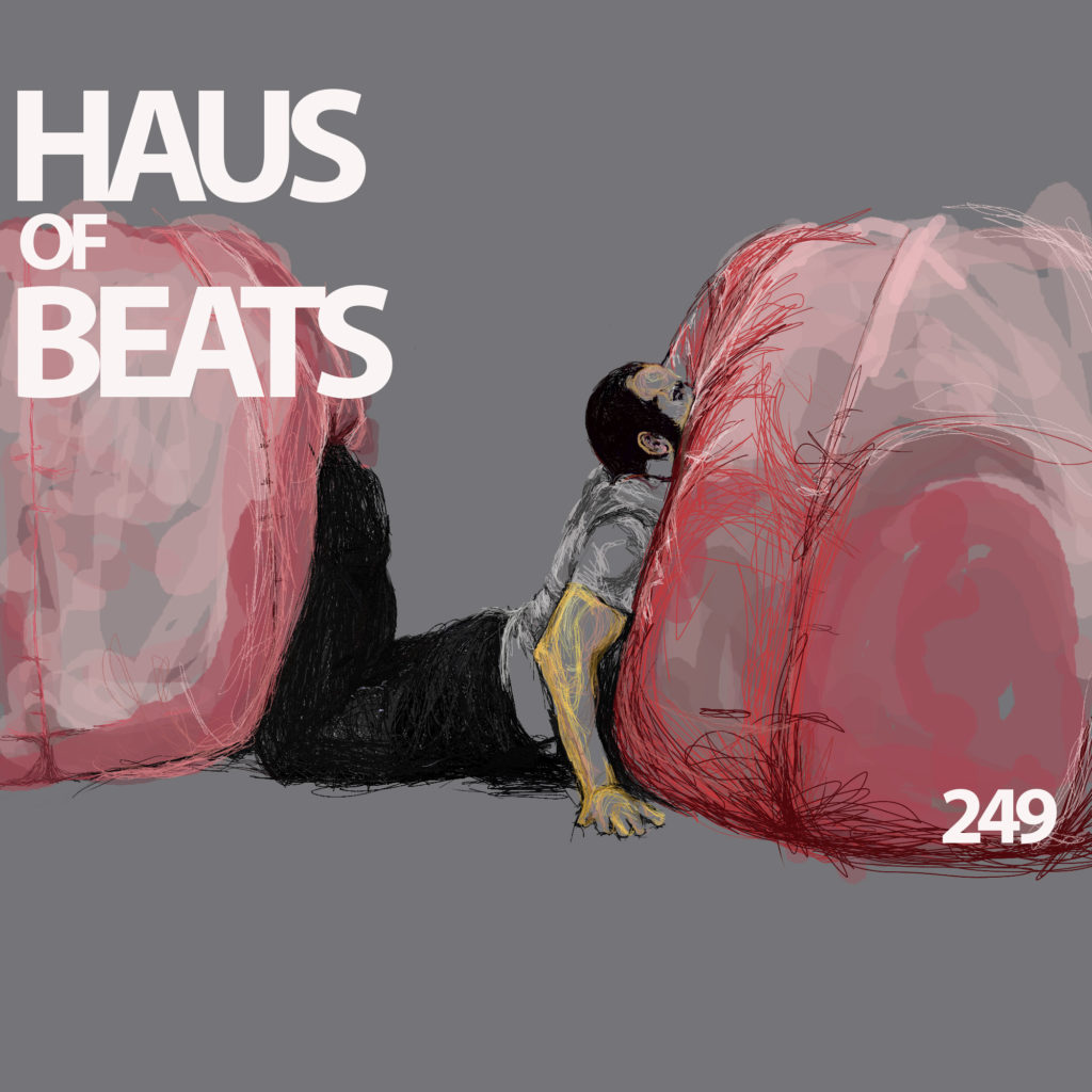 HAUS OF BEATS 249