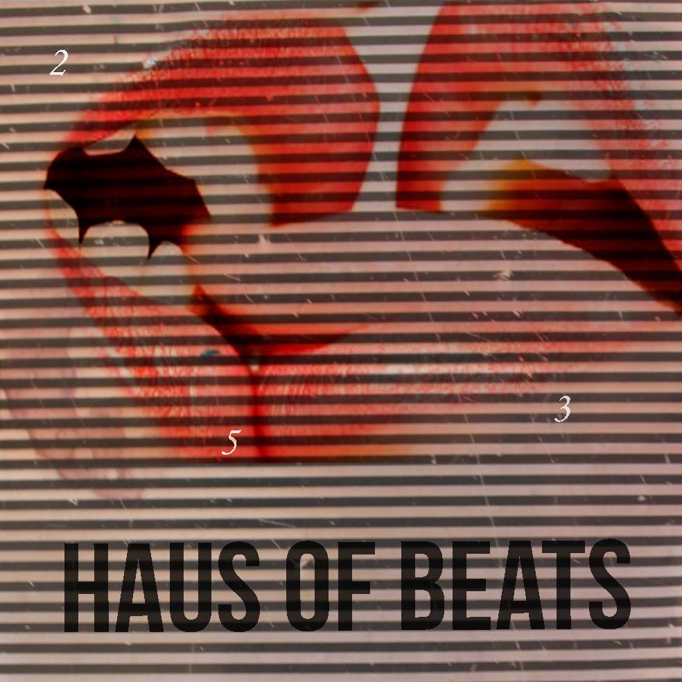 HAUS OF BEATS 253