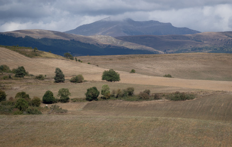 «Lur komunalak beharrezkoak dira lehen sektorearentzat»