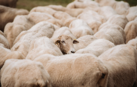 «Artilea izan daiteke ehungintza justu baten parte»