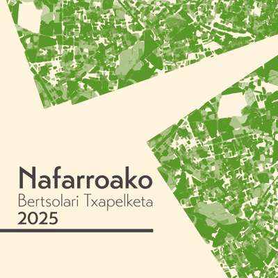 Saioa Oneka · Nafarroako Bertsolari Txapelketa · 2025.11.28