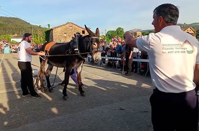 KIROL ESKIROL: Animaliek jaietan duten presentzia astindu dugu gaurkoan