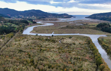 «Isurketekin amaitzean mikroalgen kopurua jeitsi egingo zela uste genuen, baina ez»