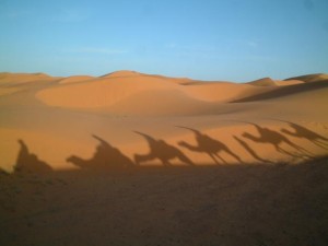 66877518_3-bivouaco-deserto-maroco-excursions-merzouga-marrakesh-merzouga-excursions-camel-trek-Marrakesh